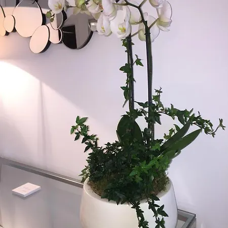 公寓 尼斯海上美景公寓 尼斯